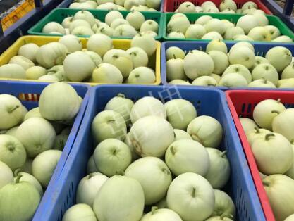 蔬菜種子種植戶客戶點評-5元1斤，這個新品種真香甜！