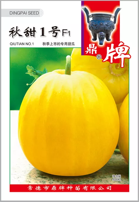 高溫季節(jié)種植甜瓜，什么品種最好？這個品種是秋季上市的專用品種