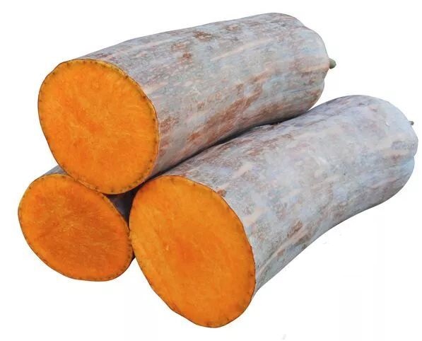 生吃都好吃南瓜新品種，沒有大肚子，肉質(zhì)更密致，農(nóng)戶試種下
