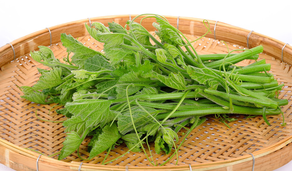 種這種綠葉菜，栽培輕松，畝產(chǎn)值過萬元，菜農(nóng)表示很劃算