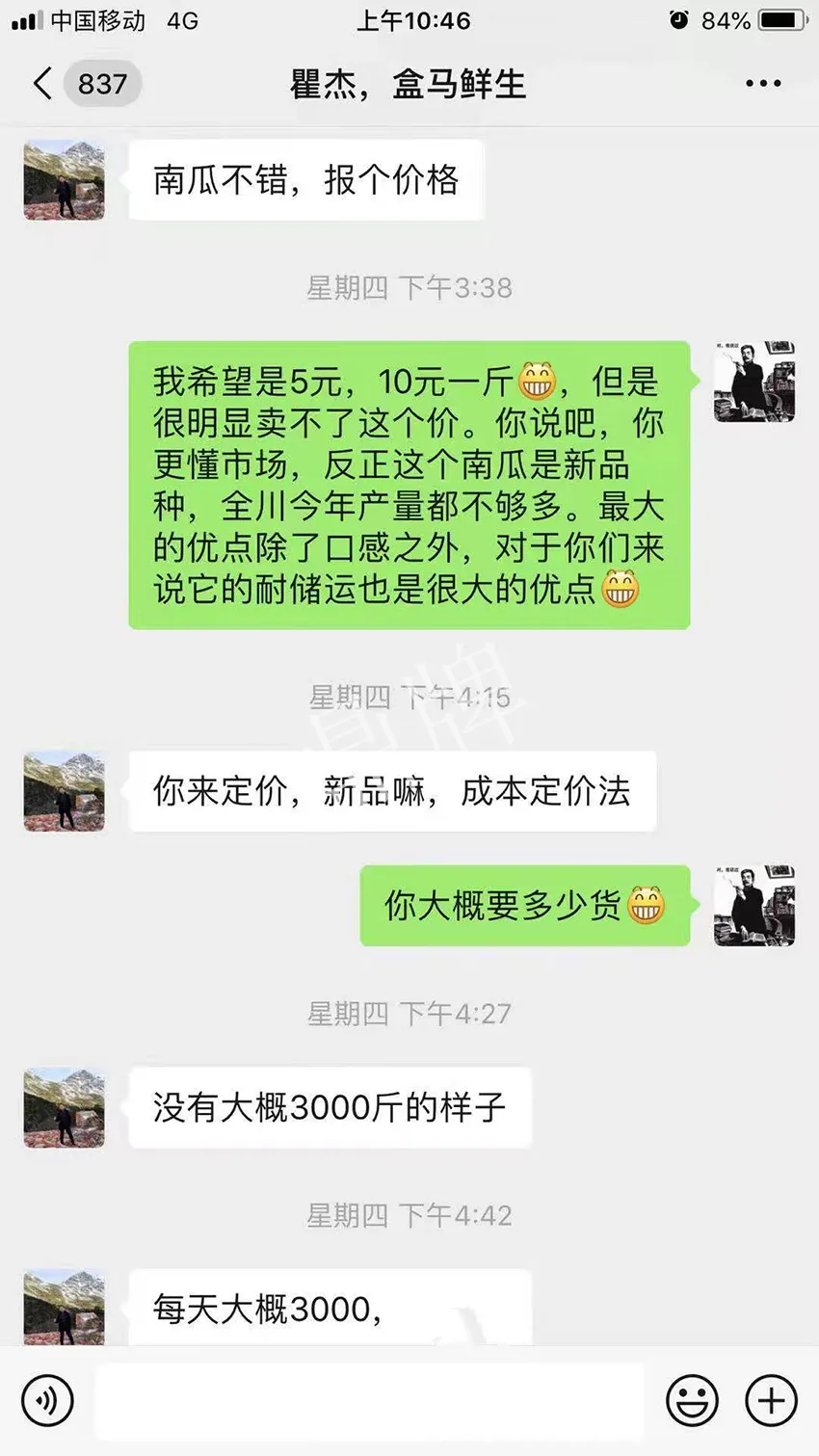 四川農(nóng)戶今年種“健美蜜本”南瓜產(chǎn)量高，品質(zhì)好，感覺巴適得很