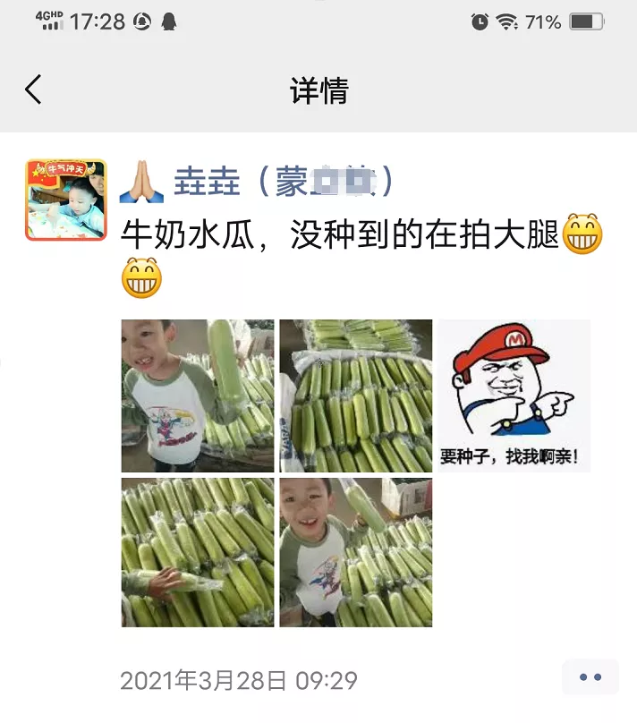 這個(gè)絲瓜每畝能掙3萬，沒種植的農(nóng)戶后悔得拍大腿